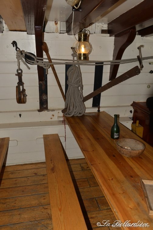 DSC 3991 - DSC_3991.jpg DSC_3991.jpg