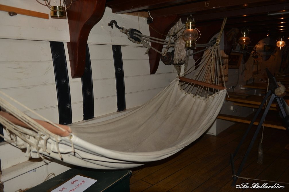 DSC 3997 - DSC_3997.jpg DSC_3997.jpg