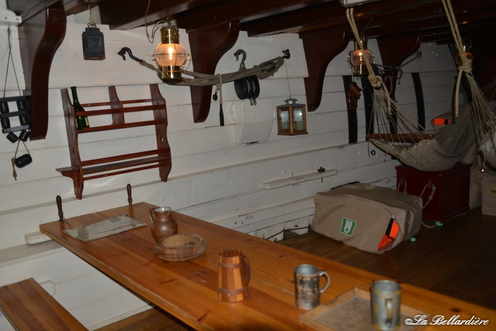 DSC 4002 - DSC_4002.jpg DSC_4002.jpg