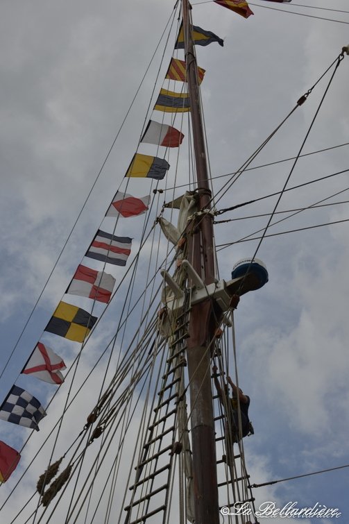 DSC 4174 - DSC_4174.jpg DSC_4174.jpg