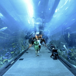 08-L aquarium et Underwater zoo