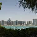  DSC2219