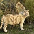  DSC1669