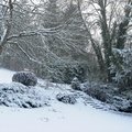 DSC 0190