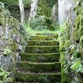 DSC06635