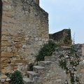 DSC 6841