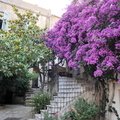 DSC 7291