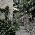  DSC5919