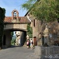 DSC 7073