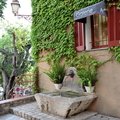 DSC 7423
