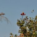 DSC 7419