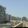  DSC0515