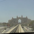  DSC0533