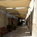  DSC0786