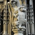  DSC7579