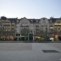  DSC7664