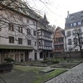  DSC7781