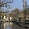  DSC8190