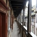 DSC8231