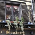  DSC8346
