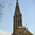  DSC8367