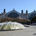 DSC 8528