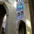 DSC 8547