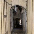 DSC 8569