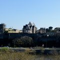 DSC 8788