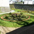 DSC 8809